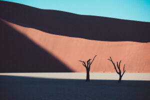 Deadvlei Jonathan Witte